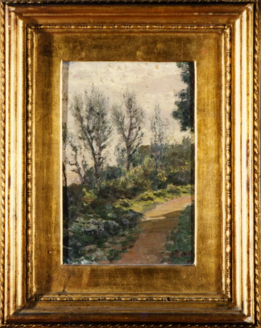  16-luce autunnale -Palazzo san Giacomo 